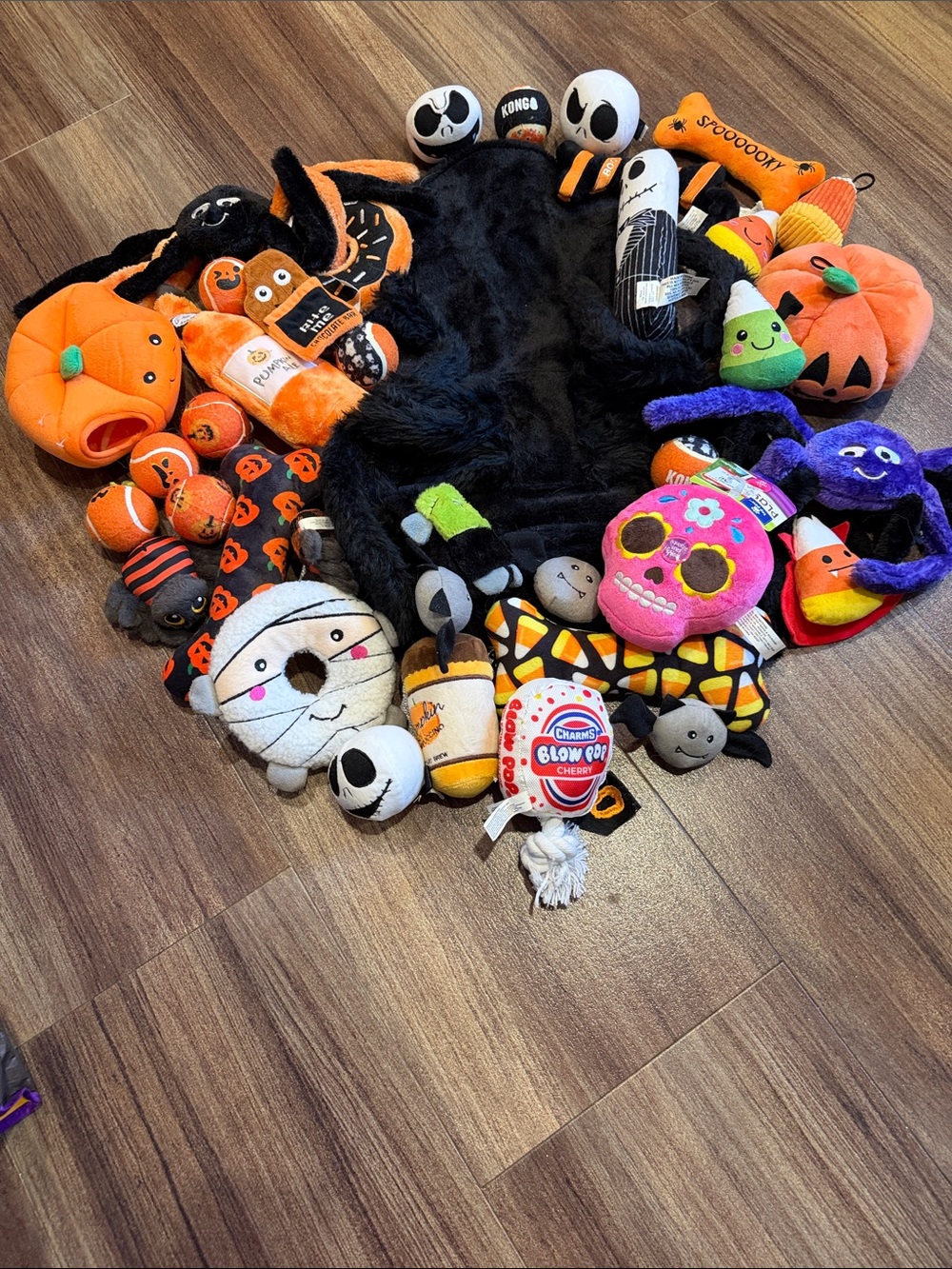 Halloween Plush Toy Bundle with Black Trick-or-Treat Spider Costume.